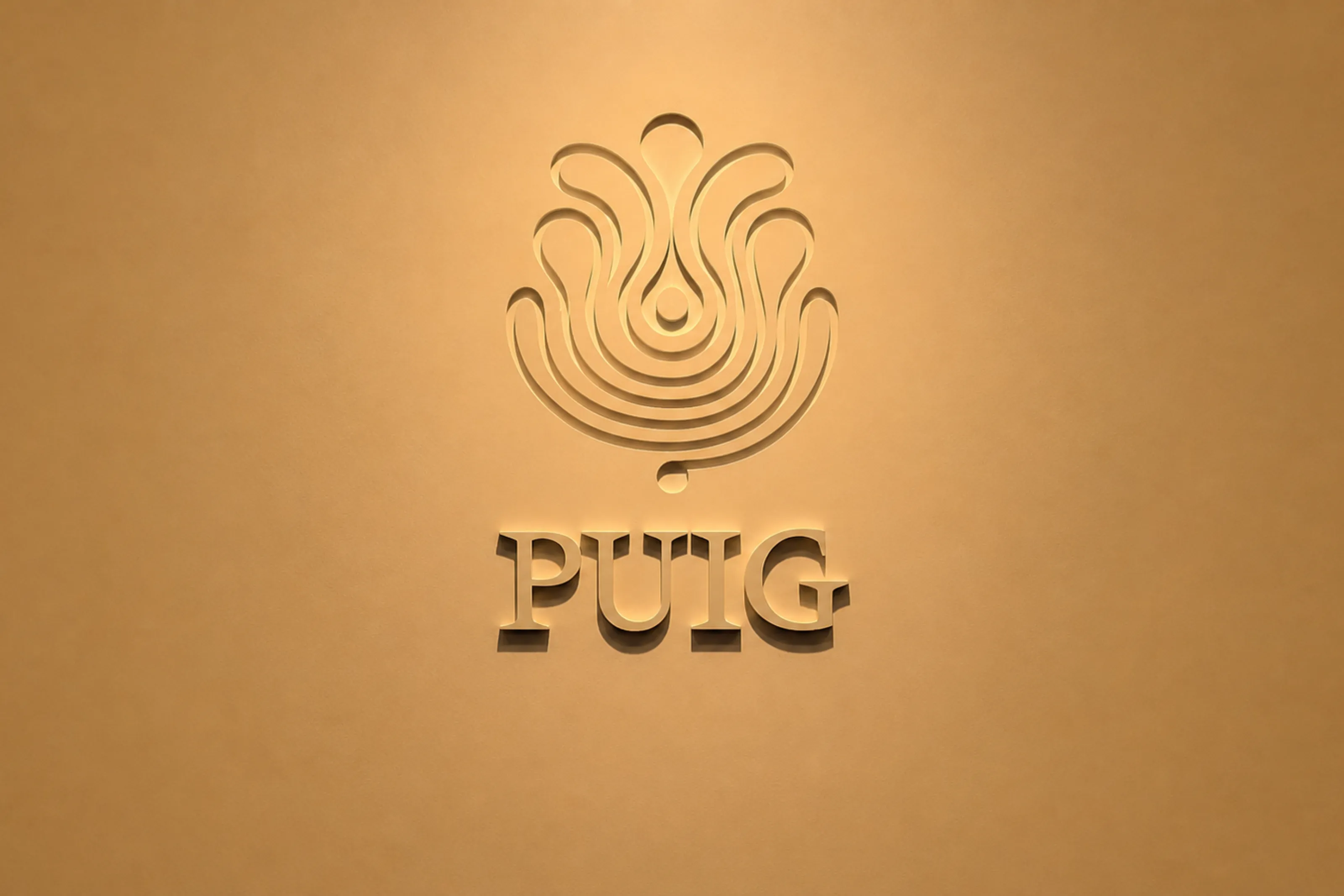 cxg
